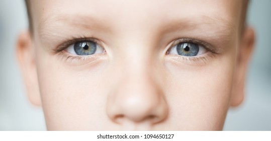 Nahaufnahme eines schönen Jungenauauges. Schöne graue Augen Makroaufnahme. Bild eines kleinen, offenen Kindes
