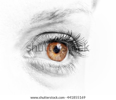 Similar – Image, Stock Photo fairy eyes Pupil Eyelash