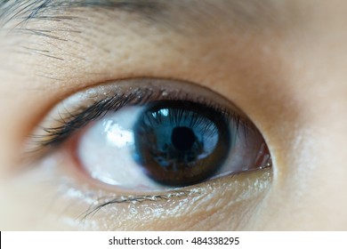 Closeup of beautiful sad brown eyes with tears