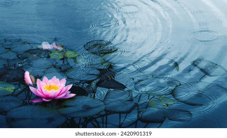 closeup of a beautiful water liliy plant underwater in a pond on a rainy summer day, nature scene background concept with copy space for spa, garden and relaxation - Powered by Shutterstock