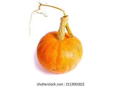 closeup of beautiful yellow orange pumpkin Cucurbita maxima giant squash gourd fruit isolated on white