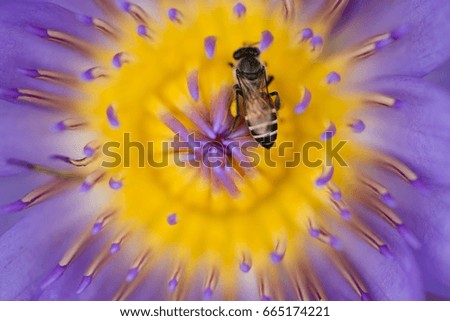 Similar – Image, Stock Photo adherence Nature Plant