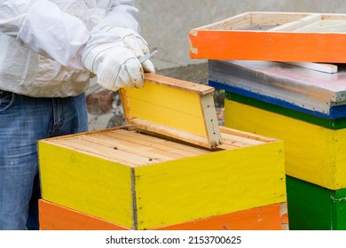 Closeup of beekeeper holding a honeycomb. Beekeeper in protective workwear inspecting honeycomb frame at apiary. Beekeeping concept