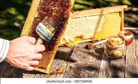 close-up Beekeeper uncapping honeycomb with special beekeeping fork. Raw honey being harvested from bee hives. Beekeeping concept. - Powered by Shutterstock