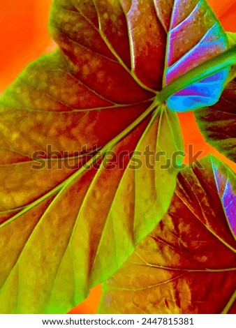 Closeup of a begonia leaf tinged with unreal neon colors. Behind it are parts of more leaves against a red-orange background.