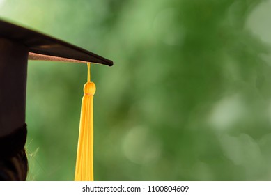 Close-up Behind photo of university graduate wears gown and black cap, yellow ribbon and green blur bokhe background. 