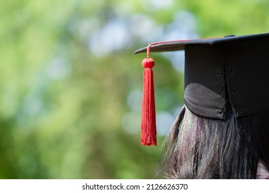 Close-up Behind Photo Of University Graduate Wears Gown And Black Cap, Red Ribbon And Green Blur Bokhe Background.