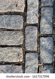 Closeup Of Belgian Block Bricks Set In The Ground.