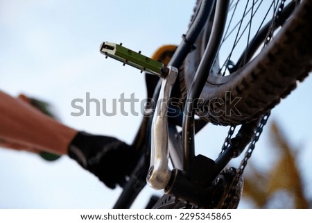 Closeup, bicycle and low angle with wheel, chain and pedal for sport, fitness and workout in nature. Below mountain bike, tire and outdoor for race, sports adventure or eco friendly transportation