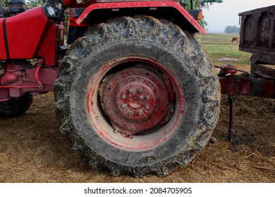 Closeup of big dirty rear wheel of tractor in paddy field. Side view of  engine area of a tractor. 