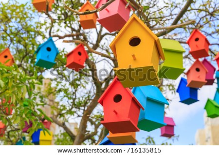 Closeup birdhouses on a mandarin tree at city