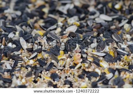 Closeup of birdseed