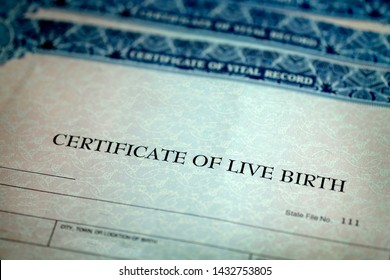 Closeup Of Birth Certificate Official Paper Baby Born