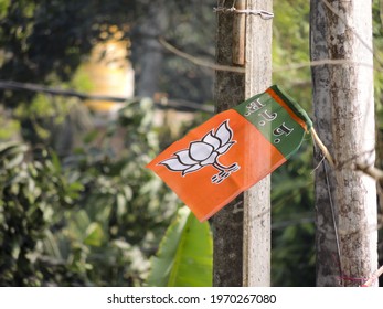 A Closeup Of BJP Indian Political Party Flag Post On A Tree Trunk