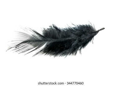 Closeup Black Feather Isolated On White Stock Photo 344770460 ...