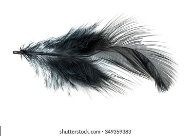 Ostrich Feathers Great Print Digital Backgrounds Stock Illustration ...