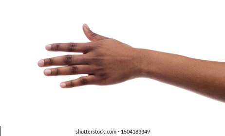 Closeup Of Black Female Hand Isolated On White Background. Panorama, Copy Space