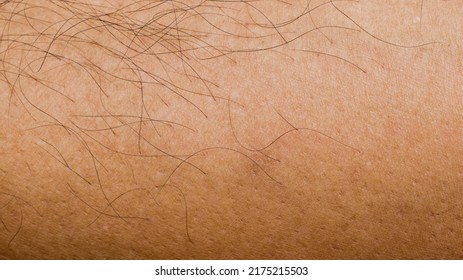Close-up Black Human Body Hair On Tan Human Background Texture
