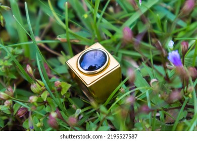 Close-up Black Onyx Ring On Meadow Background Jewelry Concept