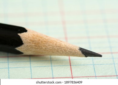 A Close-up Of A Black Pencil On A Ledger Sheet Of Paper With Grid Design.