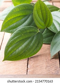 Closeup Of Black Peppercorn Plant Vine On A Table Top, Spicy And Seasoning Ingredient Plant Leaves Taken In Shallow Depth Of Field With Copy Space