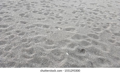 Closeup Of Black Sand With Many Footprints Such As People, Kids, Dog Footprint Surface Beach At Beachside In New Zealand. Sandy Beach Concept. Empty Copy Space For Text.