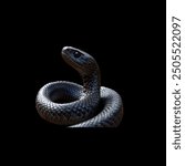 Close-up of a black snake