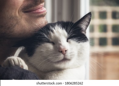 Closeup of a black and white cat cuddled by a beard man. Love relationship between human and cat