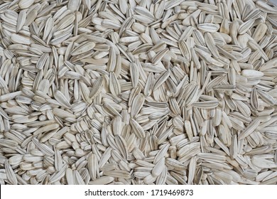 Close-up  Black And White 
Sunflower Seeds Background