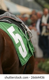 Close-Up Of Blanket And Stirrup On Thoroughbred Racing Horse