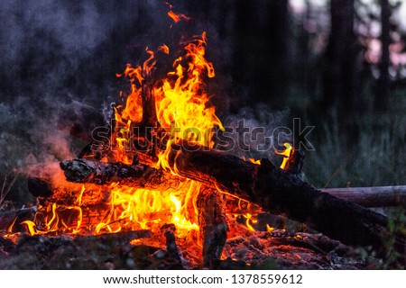Closeup of blazing campfire in the evening