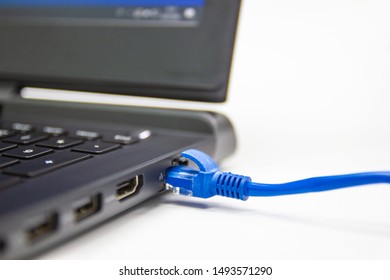 Closeup Blue Cable Network Connection Lan Stock Photo 1493571290 ...