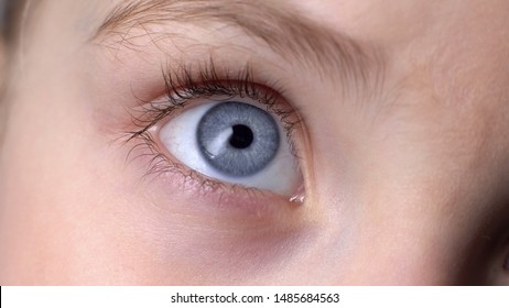 Closeup of blue child eye, concept of genetics inherited traits, innocent look - Shutterstock ID 1485684563