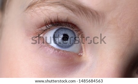 Closeup of blue child eye, concept of genetics inherited traits, innocent look