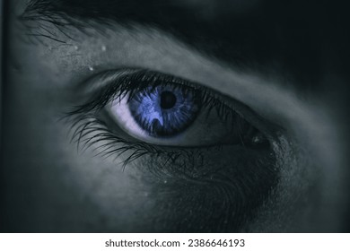 A close-up of a blue eye illuminated in a darkened setting - Powered by Shutterstock