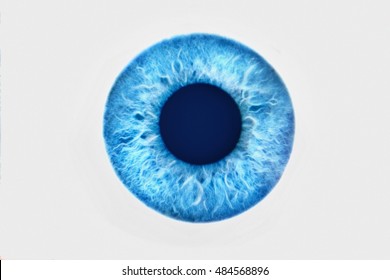 Closeup Of Blue Eyeball On White Background