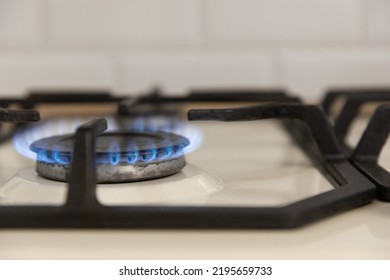 Close-up Of A Blue Flame Of Fire From A Home Cooking Stove. The Concept Of Industrial Resources And Economy. Gas Stove With A Burning Flame.Propane.Close-up.Copy Space.