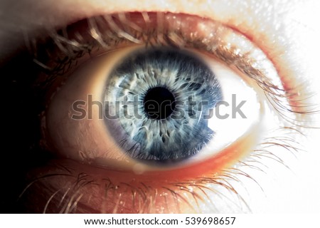 Closeup of blue human eye