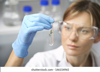 Closeup Of A Blurred Female Scientist Looking At Plants In Test Tube In Laboratory