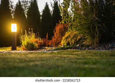 Closeup of Bollard Lamp in the Backyard Garden Illuminating Nearby Plants in the Evening. Outdoor Landscape Lighting Theme.