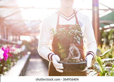 Closeup of bonsai tree in pot holded by man gardener in brown apron and garden gloves - Powered by Shutterstock