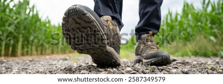 A closeup of a hiker’s boot stepping forward on a rocky trail, surrounded by lush green cornfields under a cloudy sky.