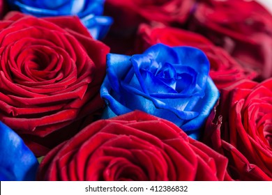 Closeup Bouquet Mix Red Blue Roses Stock Photo 412386832 | Shutterstock