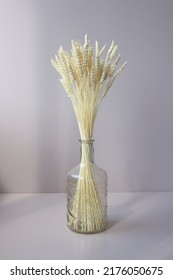 Close-up of bouquet of wheat spikelets in transparent vase on white background. Design and interioir elements concept