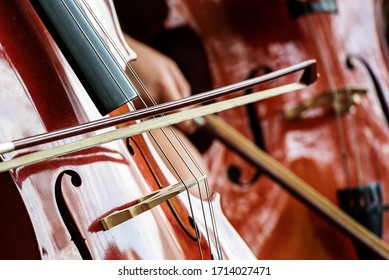 Violoncelle Images Photos Et Images Vectorielles De Stock Shutterstock