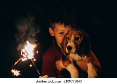 Closeup boy and dog (beagle puppy) having fun with bengal lights at night event (4th of July). Happy boy holding burning fireworks outside