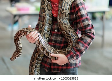 13,342 Snake man Images, Stock Photos & Vectors | Shutterstock