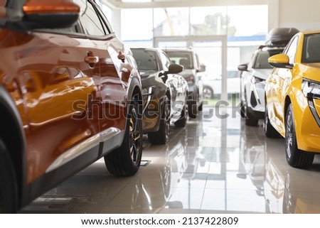 Closeup of brand new luxury cars exhibited in vip showroom, shiny newest automobiles different colors and specifications standing in row in huge dealership auto salon, copy space