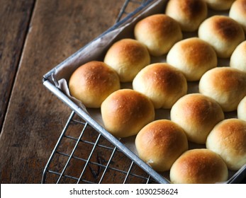 Closeup bread rolls in baking tin mold on wood background.