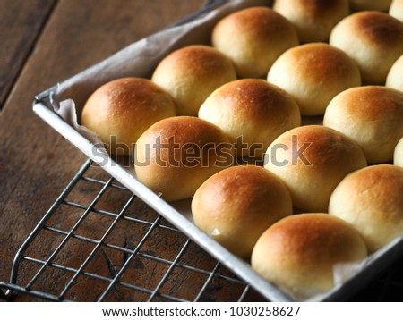 Closeup bread rolls in baking tin mold on wood background.